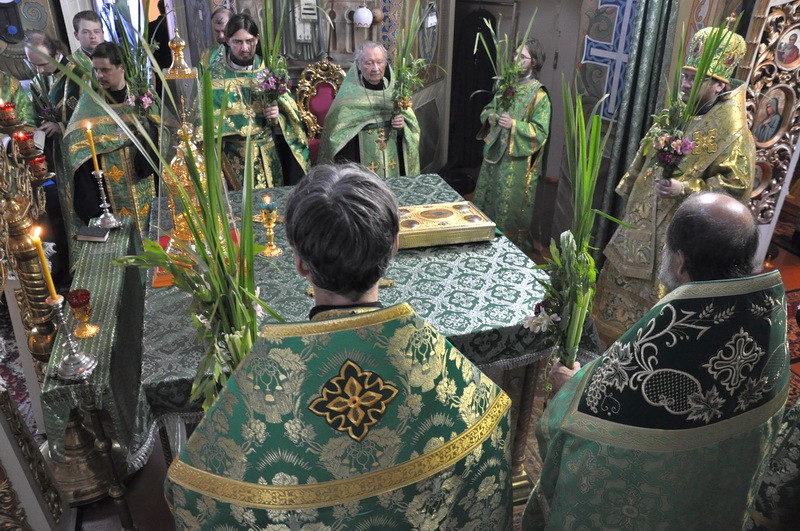 Епископ Боярский Феодосий совершил Божественную литургию в день Святой Троицы