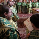 Епископ Боярский Феодосий принял участие в Литургии и торжествах по случаю дня памяти прп.Нестора Летописца