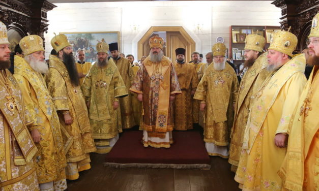 Архиепископ Феодосий поздравил епископа Васильковского Николая с 50-летием