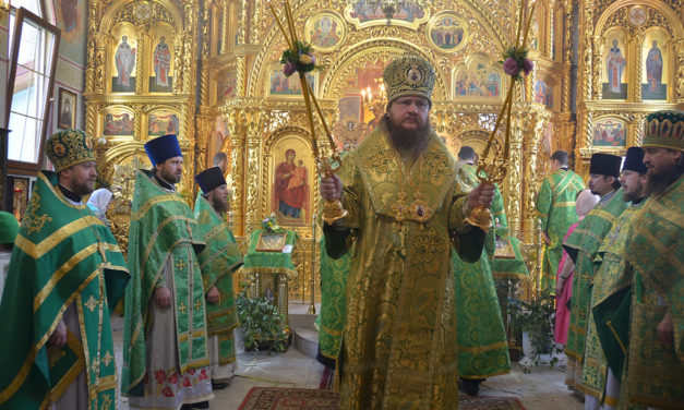 Архиепископ Феодосий совершил праздничное богослужение в День Святого Духа (+ВИДЕО)