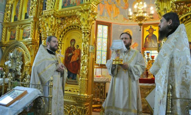 Архиепископ Феодосий совершил заупокойное богослужение в 40 день по преставлении монахини Елисаветы (Роман)