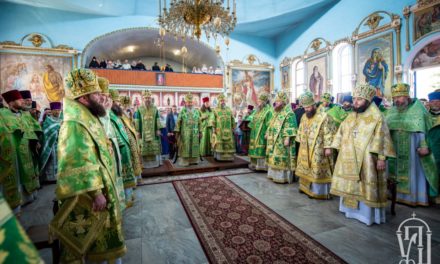 Архиепископ Феодосий сослужил Предстоятелю УПЦ на торжествах по случаю прославления святых в Александрии