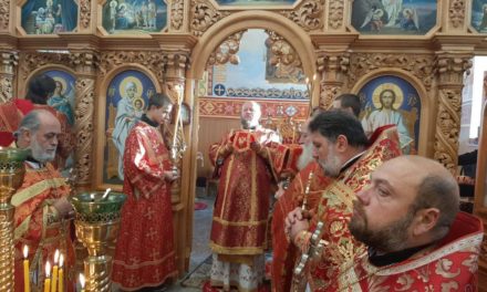Архієпископ Золотоніський Іоанн звершив Літургію престольного свята храму с.Степанецьке