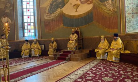 Митрополит Черкаський і Канівський Феодосій очолив Літургію у Неділю 24-ту після П’ятидесятниці