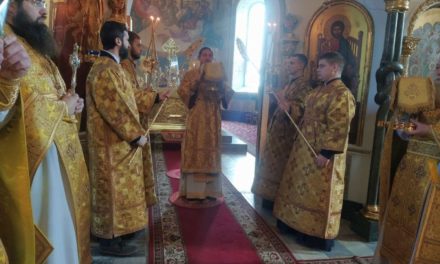 Литургия в Неделю о мытаре и фарисее в Архангело-Михайловском соборе г.Черкассы