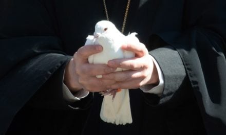ПУСТЬ БУДЕТ МИР! На Благовещение духовенство и дети Черкасс выпустили в небо белых голубей
