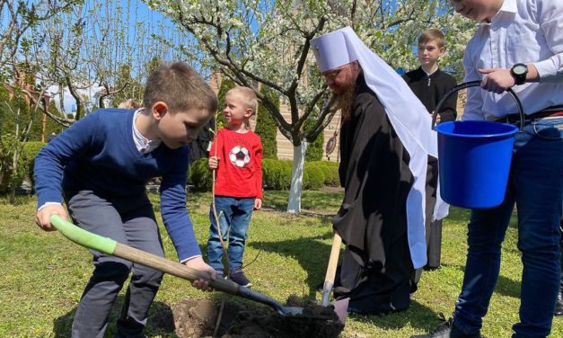 Митрополит Феодосій разом з дітьми із сімей біженців висадив кущі калини на схилах Дніпра (+ВІДЕО)