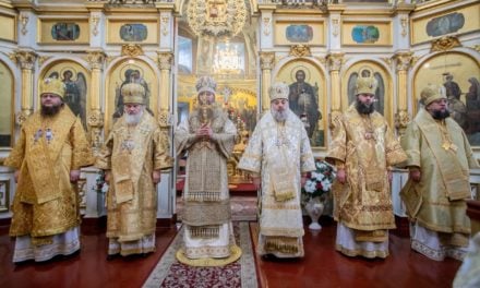Митрополит Феодосий принял участие в торжествах Кировоградской епархии (+ВИДЕО)