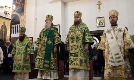 Митрополит Феодосий принял участие в торжествах в Запорожье