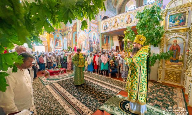 Епископ Антоний совершил Литургию в день Святого Духа в Свято-Троицком Мотронинском монастыре (+ВИДЕО)