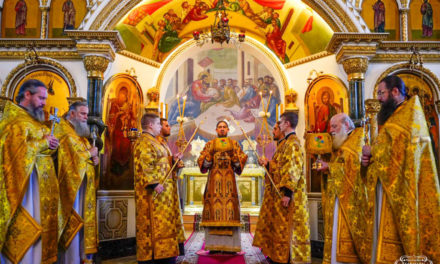 Божественная литургия в Неделю 6-ю по Пятидесятнице в Архангело-Михайловском кафедральном соборе г.Черкассы