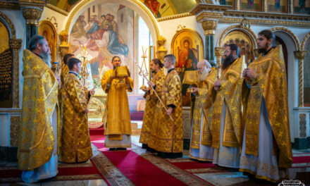 Божественная литургия в Неделю 16-ю по Пятидесятнице в Архангело-Михайловском кафедральном соборе г.Черкассы