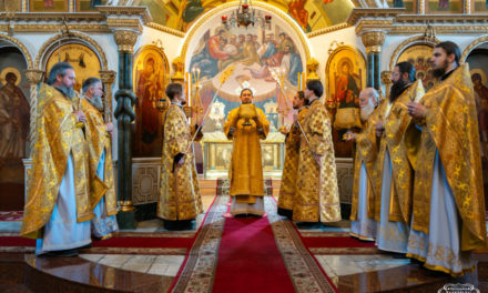 Божественная литургия в Неделю 14-ю по Пятидесятнице в Архангело-Михайловском кафедральном соборе г.Черкассы (+ВИДЕО)
