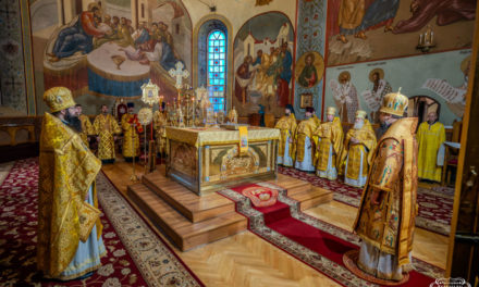 Божественная литургия в Неделю 23-ю по Пятидесятнице в Архангело-Михайловском кафедральном соборе г.Черкассы