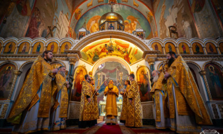 Божественная литургия в Неделю 27-ю по Пятидесятнице в Архангело-Михайловском кафедральном соборе г.Черкассы