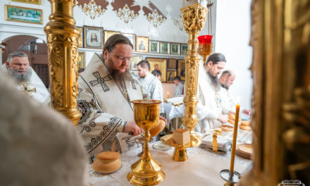Митрополит Феодосій очолив Літургію та Велику вечірню в Різдвяний Святвечір у Красногірському монастирі (+ВІДЕО)