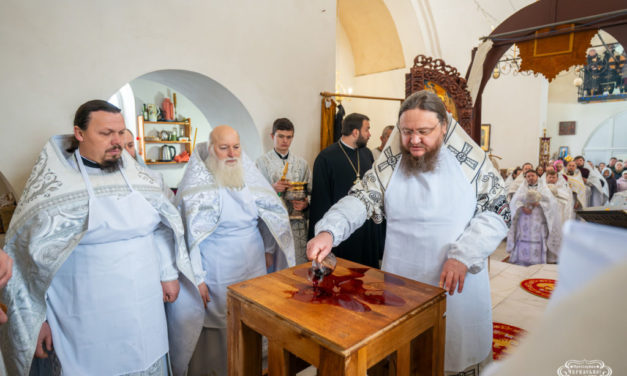 Митрополит Феодосій звершив освячення новозбудованого храму в с. Нова Дмитрівка (+ВІДЕО)