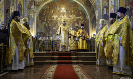 Митрополит Феодосий совершил Литургию в Неделю сыропустную в кафедральном соборе г.Черкассы (+ВИДЕО)