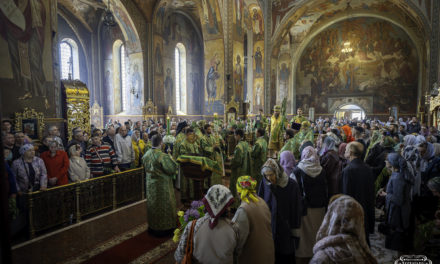 Митрополит Феодосий совершил Литургию в праздник Входа Господня в Иерусалим в кафедральном соборе г.Черкассы (+ВИДЕО)