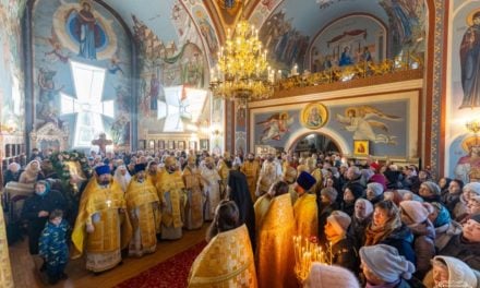 Митрополит Феодосий совершил Литургию в день престольного торжества Свято-Андреевского архиерейского подворья в г. Черкассы (+ВИДЕО)